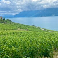 Wine Tasting & Winery Tours