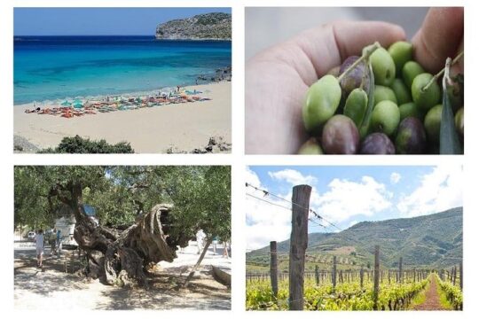 Wine and Olive,Falasarna Beach Group Tour up 15 persons - Wheelchair Accessible