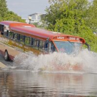 Tours & Sightseeing