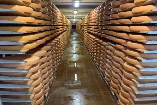 Gruyères Castle, Cheese, and Chocolate Private Tour from Zurich