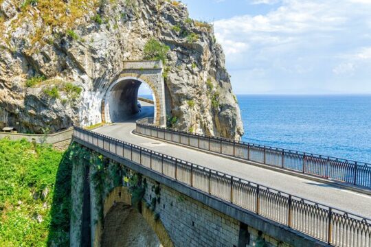 Private Transfer to Sorrento-Napoli Airport or Central Station