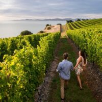 Food, Wine & Nightlife