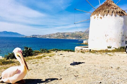 Private Tour: Mykonos Island in Half a Day