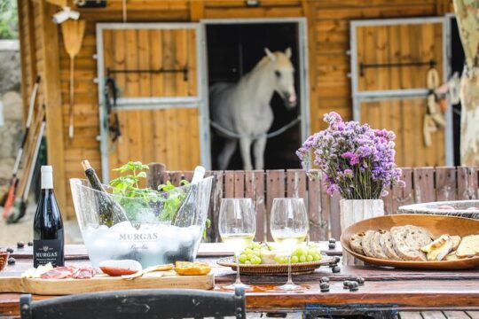 Wine Tasting at Quinta das Murgas