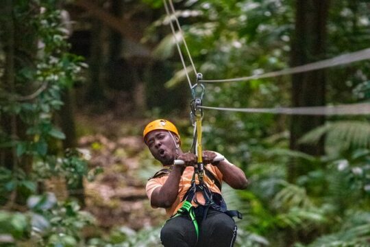 Half-Day Hiking Adventure with Aerial Tram & Zipline in St Lucia
