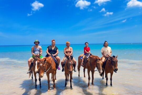Dunn’s River Falls & Horseback Ride n Swim Guided Tour
