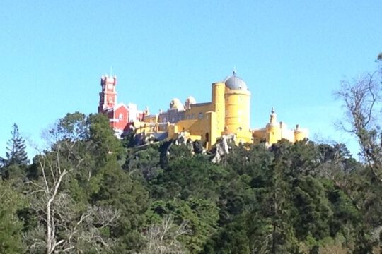 Sintra Tour 8h
