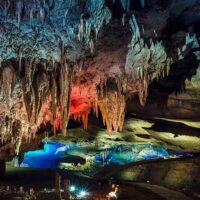 Tours & Sightseeing