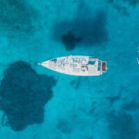 Cruises, Sailing & Water Tours