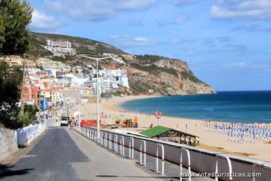 Private Tour: Half-Day visiting Setúbal Winery and Lunch Grill Fish at Sessimbra