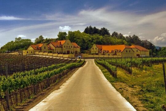 2day private tour of wine region in Czech Republic and Bratislava from Vienna