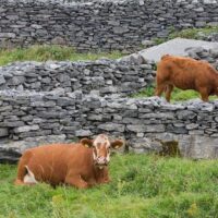 Sustainable Tours