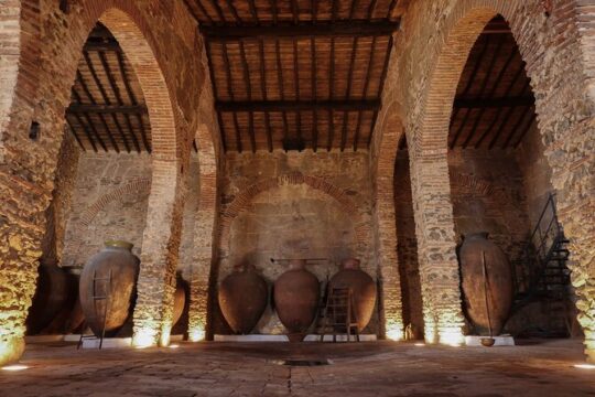 Grande Prova Honrado Vineyards