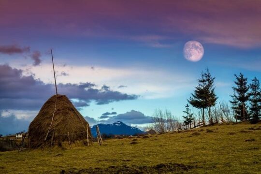 2- Day Halloween Party in Sighisoara Citadel from Bran