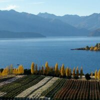 Weddings & Honeymoons