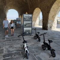 Half-day Tours