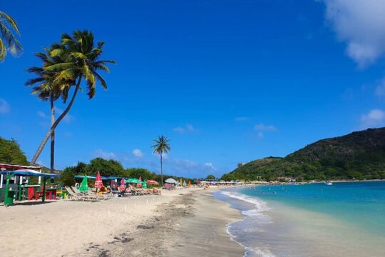 Capital City Tour and Beach Splash