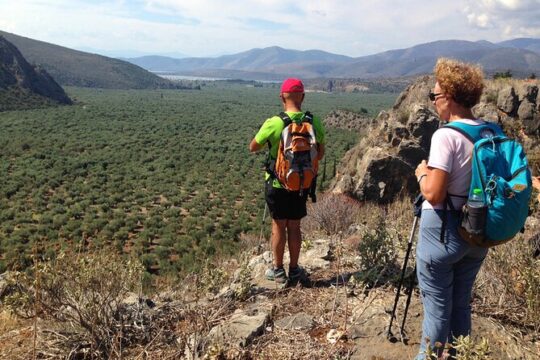 DELPHI Private Day Tour PLUS Hiking, BIking or Olive Tasting