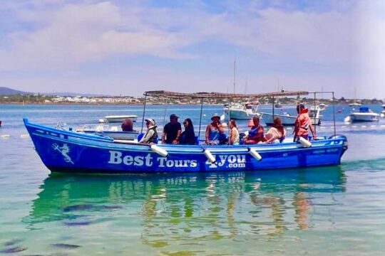 Bateiras Traditional Boats Shared Tour in Olhão