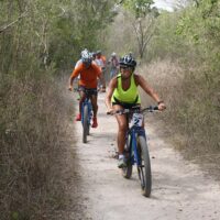 Walking & Biking Tours