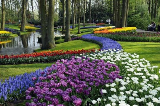 Keukenhof Ticket With Roundtrip Shuttle Bus from Amsterdam