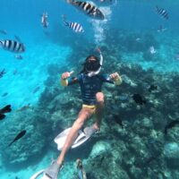 Tours & Sightseeing