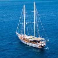 Multi-day & Extended Tours