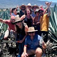 Plantation Tours