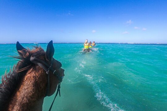 ATV Safari with Lagoon, Horseback Ride and Swim