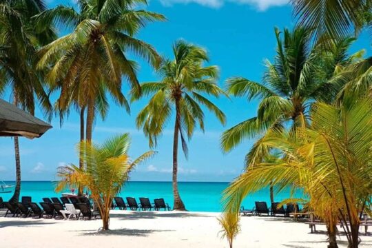 Perfect Day at Saona Island by Speedboat - Completely Private