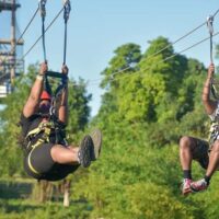 Ziplines
