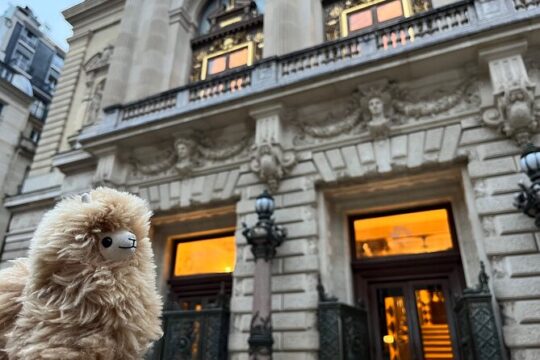 Orsay Museum: Museum Ticket Entry & 4h Private Guided Tour