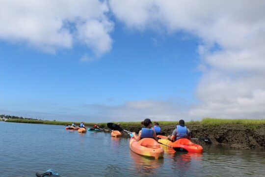 2-Hour Kayak Rental in Cape May per person