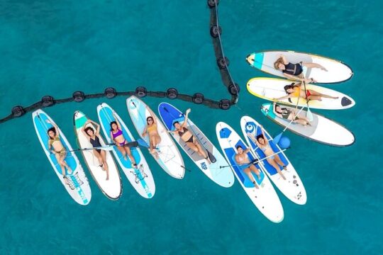 Guided Paddleboard Morning Group All Levels Incl. Instruction