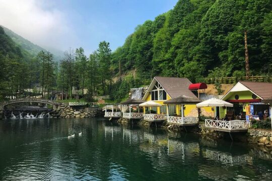 Full-Day Sapanca and Maşukiye Tour with Lunch from Istanbul