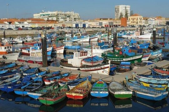 Arrábida Full Day Tour