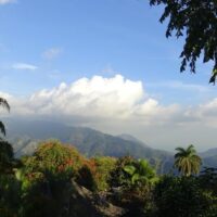 Coffee & Tea Tours