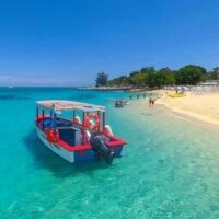 Bus & Minivan Tours