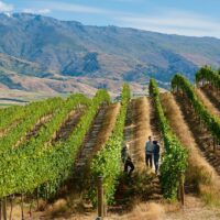 Private & Custom Tours