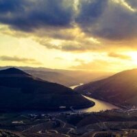 Private Sightseeing Tours