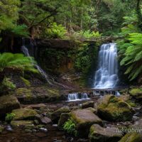 Photography Tours