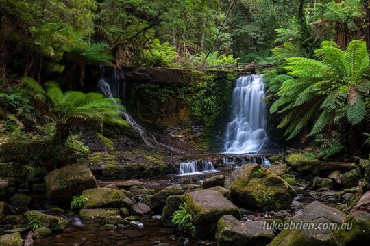Mt Field and Styx Valley Photography Tour