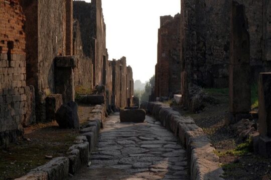 Private Guided Tour in Pompeii