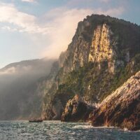 Dolphin & Whale Watching