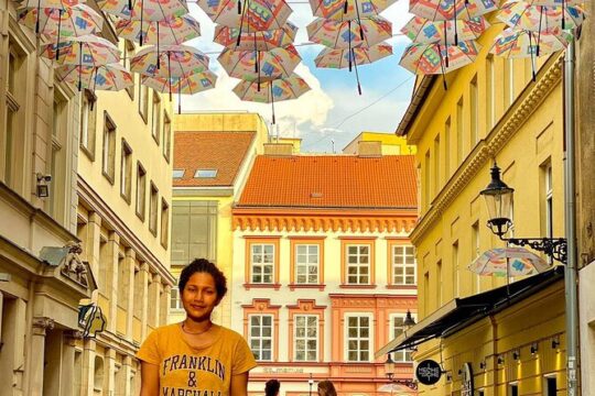 Budapest and Bratislava Private Full-Day Tour from Vienna