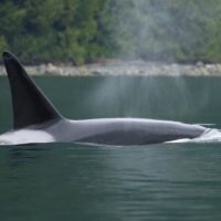Day Trips & Excursions