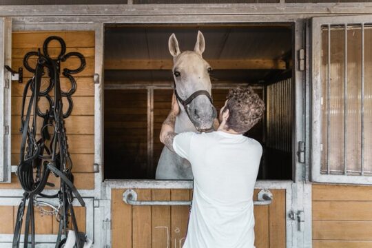 Vienna Horse-drawn Carriage Guided Tour