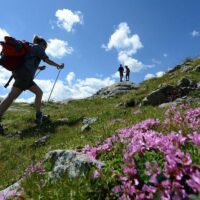 Walking Tours