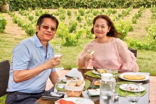 6 Day Wine and Gastronomy Tour of Northern Spain