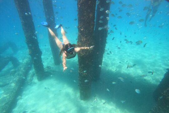 Coral Reef Snorkel Adventure with Photos and Videos